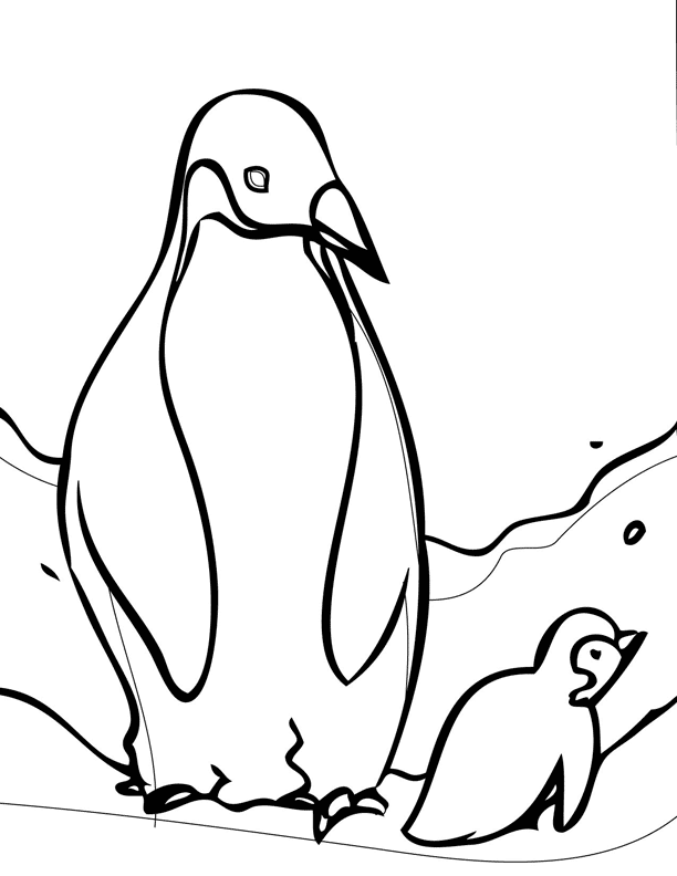 Plansa de colorat cu Pinguin 26 19